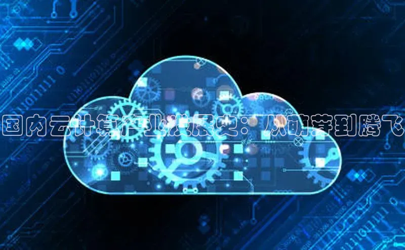 杏鑫彩票官网app雷柏科技国内云计算产业发展史：从萌芽到腾飞