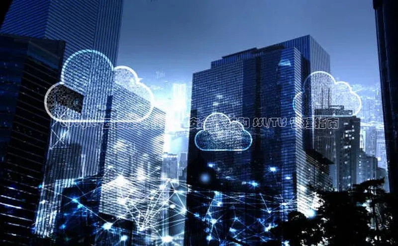 杏鑫是正规彩票平台吗江铃新能源Google 云自定义证书：安全保护和 SSL/TLS 管理指南