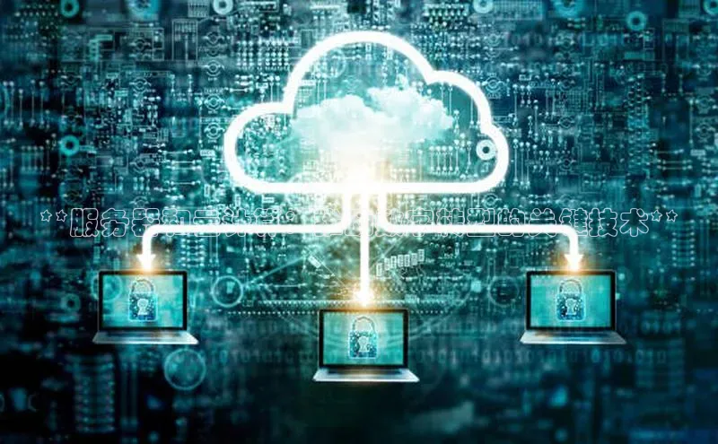 杏鑫登录测速百度集团**服务器和云计算：推动数字转型的关键技术**