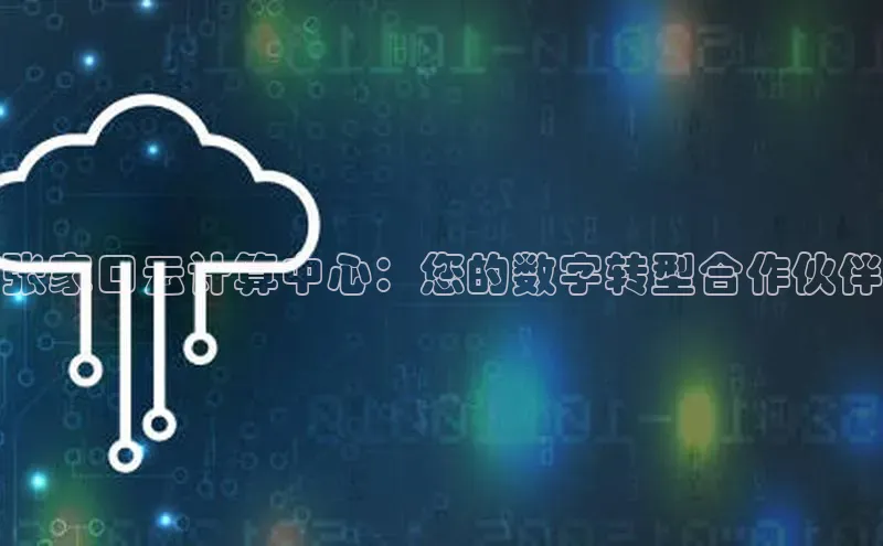 杏鑫彩票官网app百度大脑张家口云计算中心：您的数字转型合作伙伴