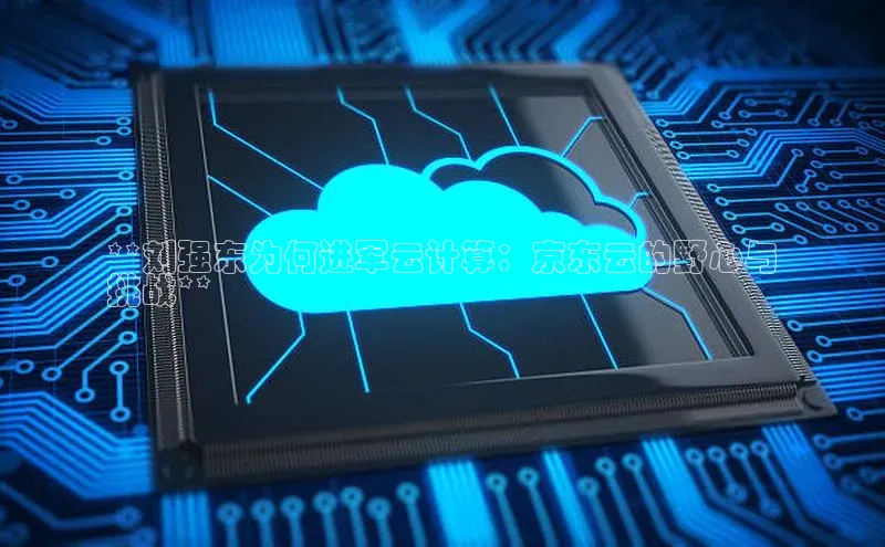 杏鑫注册开户普信公司**刘强东为何进军云计算：京东云的野心与
挑战**