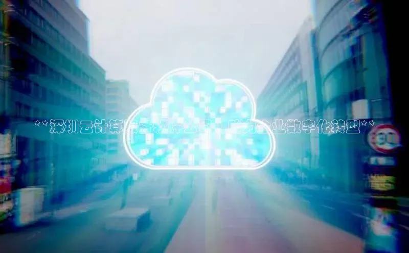 杏鑫注册登录地址同程**深圳云计算服务软件公司 | 助力企业数字化转型**