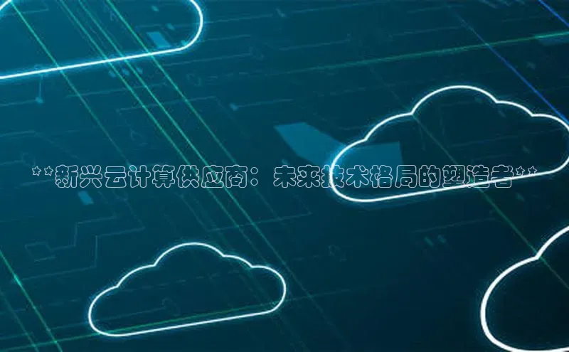 杏鑫平台注册登录百度 H5**新兴云计算供应商：未来技术格局的塑造者**