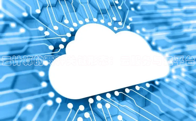 杏鑫注册登录地址文心一言云计算的两种关键形态：云服务与云平台