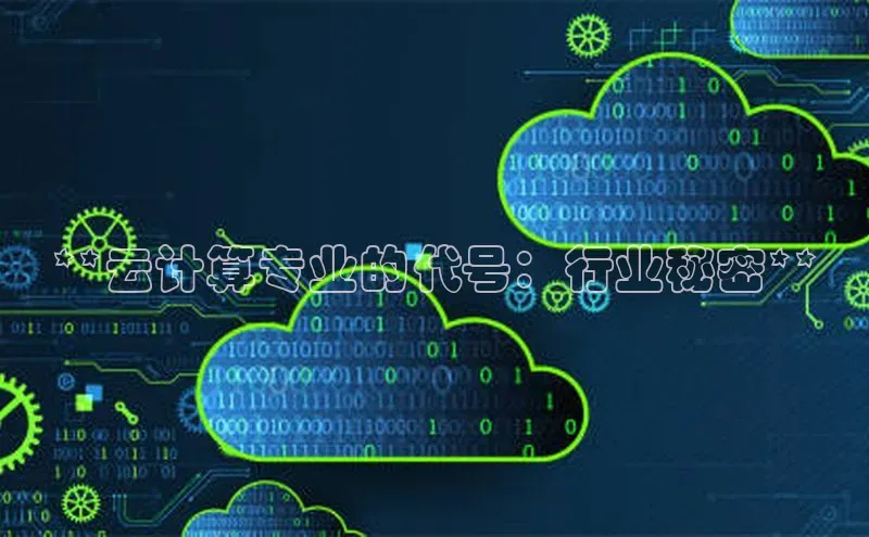 杏鑫彩票官网登录百度学术**云计算专业的代号：行业秘密**