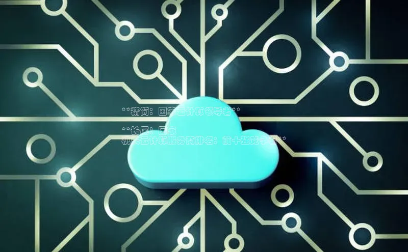 杏鑫平台注册登录百度 H5**精简：国家云计算领导者**

**长尾：国家
机关云计算服务商排名：前十强竞争者**