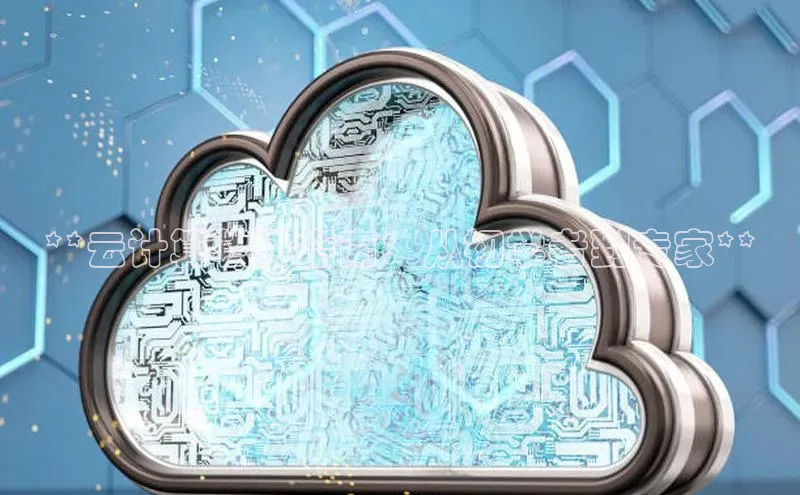 杏鑫登陆测速登录百度识图**云计算软件指南：从初学者到专家**