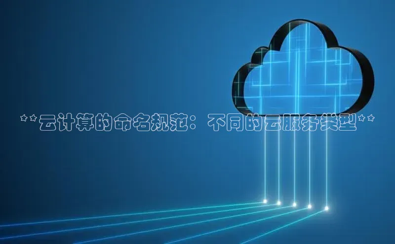 杏鑫平台注册入口哇咔哇咔文化**云计算的命名规范：不同的云服务类型**