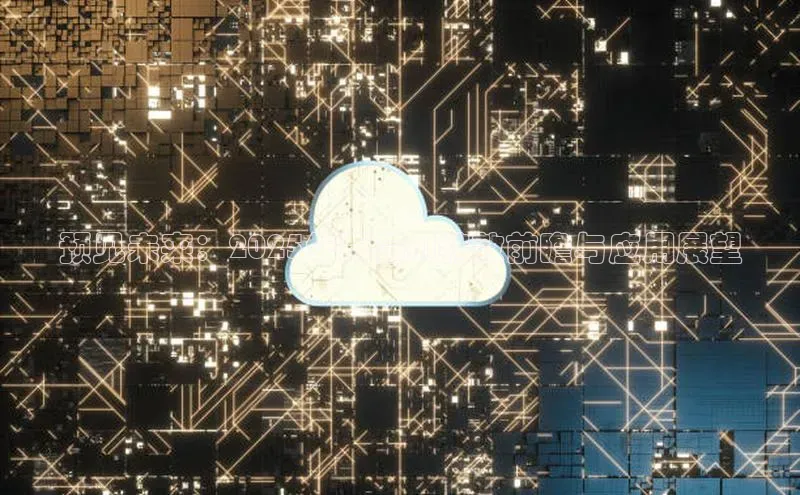 预见未来：2025年草莓AI特效前瞻与应用展望