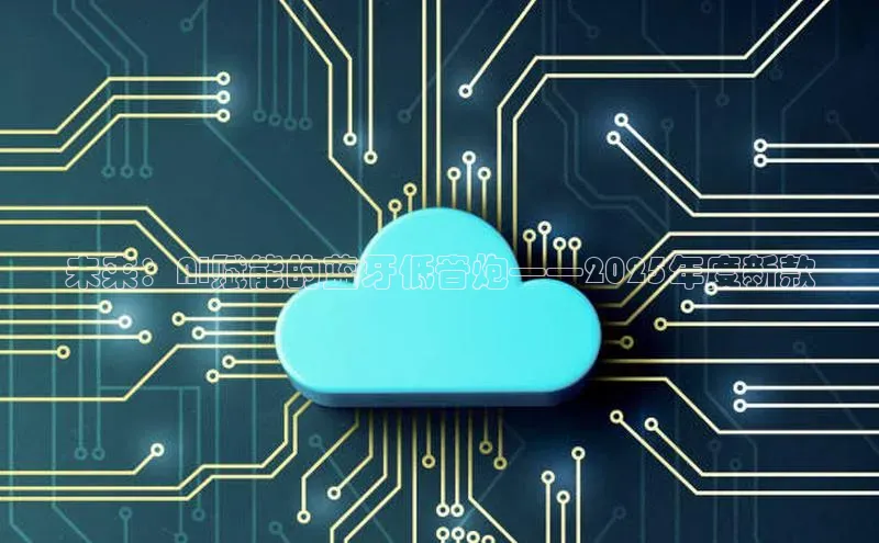 未来：AI赋能的蓝牙低音炮——2025年度新款